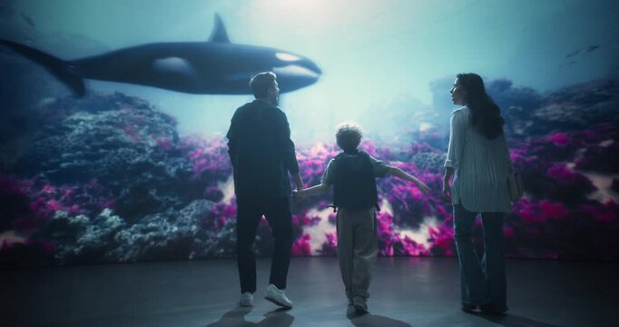 Oceanarium Marine Mammal Park: Family of Three Watching a Majestic Orca Swim Above Pink Coral, Mom, Dad and Their Son Sharing Joy While Learning About Marine Life and Species Preservation.