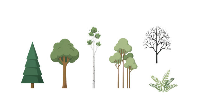collection of trees with different shapes and leaf types on white background