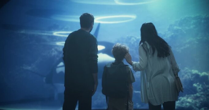 Oceanarium Marine Life Park Family of Three Observe Orca Whales Swimming by Coral Reefs. Ecology and Environment Education, Science of About Aquatic Wildlife Conservation. Close-up Medium Shot
