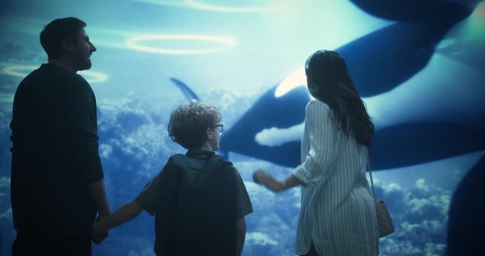 Oceanarium Marine Life Park Family of Three Observe Orca Whales Swimming by Coral Reefs. Ecology and Environment Education, Science of About Aquatic Wildlife Conservation. Close-up Medium Shot