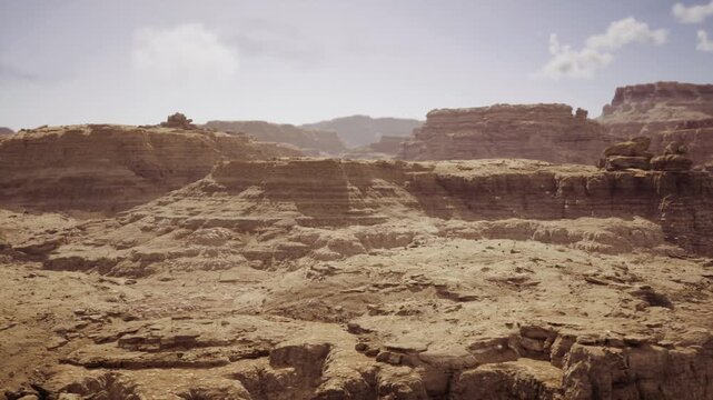 Ancient erosion patterns across canyon walls expose stratified bands and fossil textures, warm earthy palette of ochre and clay, dry scrub and fractured