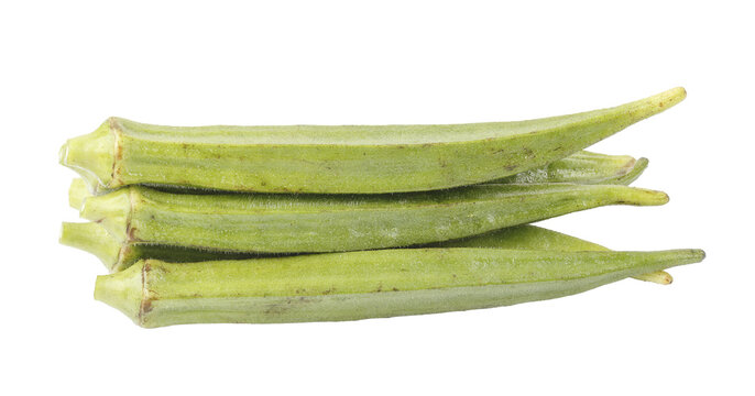 pod of okra, also known as lady finger or gumbo isolated on a Transparent background
