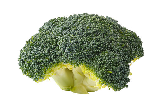 close up of fresh broccoli isolated on a Transparent background