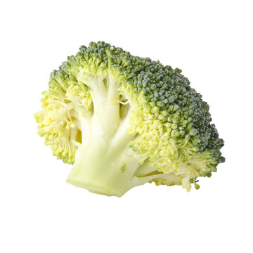 close up of fresh broccoli isolated on a Transparent background