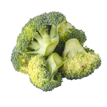 close up of fresh broccoli isolated on a Transparent background