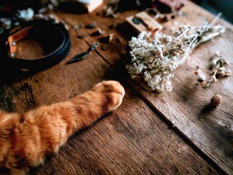 A close-up shot of a ginger cat's paw resting on a wooden table, perfect for celebrating Ginger cat anniversary day