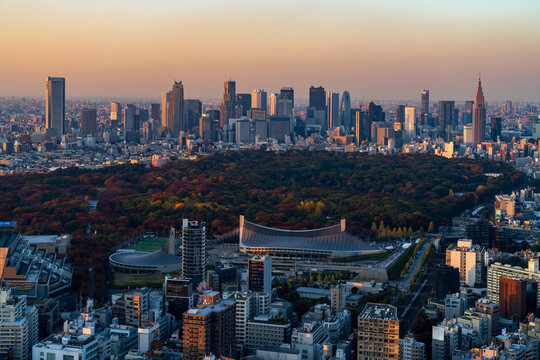 Panoramic sunset view of Shinjuku Gyoen National Garden and Shinjuku skyscraper skyline.