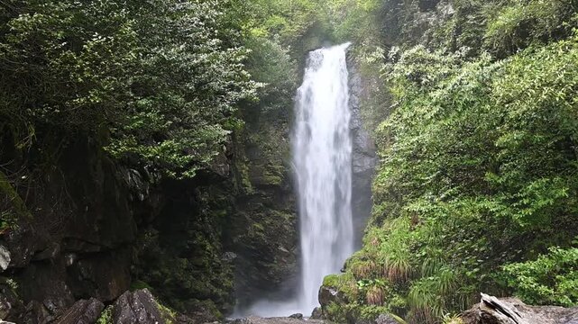 A powerful waterfall cascading down a steep dark rocky cliff, framed by bright green foliage and dense trees.
