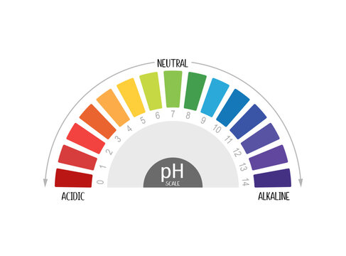 pH Scale Chart Vector Illustration with Acidic Neutral and Alkaline Levels