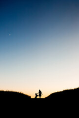 Fototapeta premium Vertical sunset silhouette of woman training golden retriever dog outdoors. Happy owner and purebred labrador pet on hill against blue evening sky with moon, friendship landscape copy space