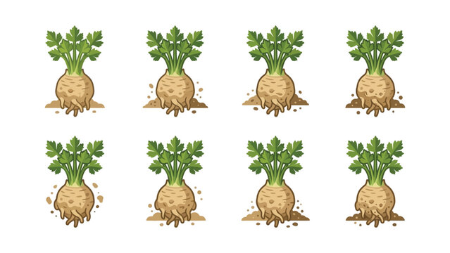 Celery Root Vegetable Icons - Pixel Art Style Illustrations