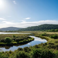 Obraz premium Sunny Green Wetland Landscape with Winding River and Forested Hills