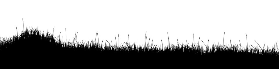 Fototapeta premium Meadow silhouette with grass, plants on plain. Panoramic summer lawn landscape with herbs, various weeds. Herbal border, frame element. Black horizontal banners. Vector illustration