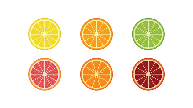 Vibrant Citrus Slices: Lemon, Orange, Lime, Grapefruit, Blood Orange Halves