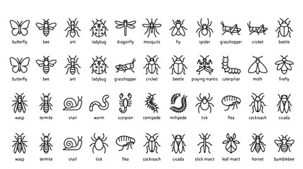 Obraz premium Insect icons, bug illustrations, 40 animal graphics, vector set