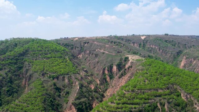 4K Aerial Drone Footage of Farmland and Windbreak Forest in Northern Shaanxi