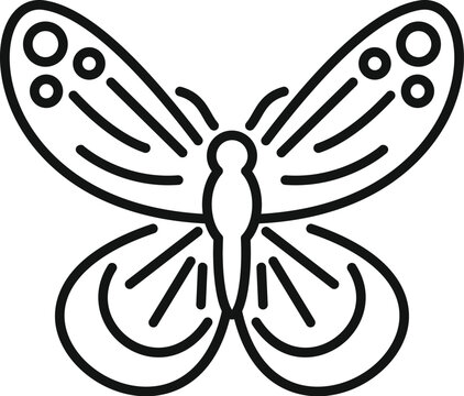 Drawing a butterfly with a minimalist line art style on a white background