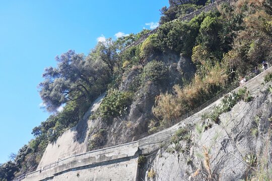 Vegetazione sulla costa marina