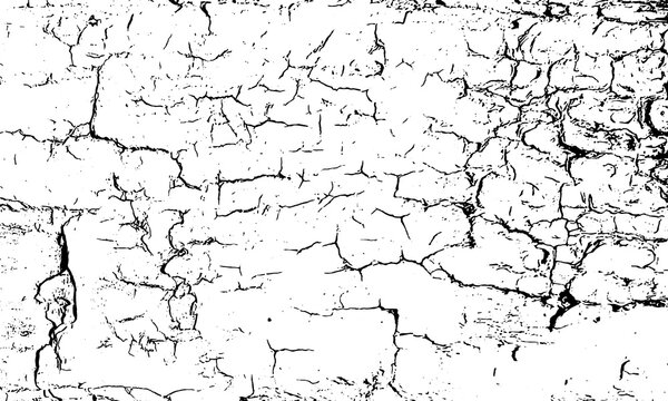 Cracked White Surface Texture