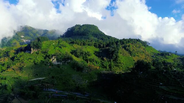 Aerial Drone View of Lush Green Rice Terraces on Hillsides in Indonesia