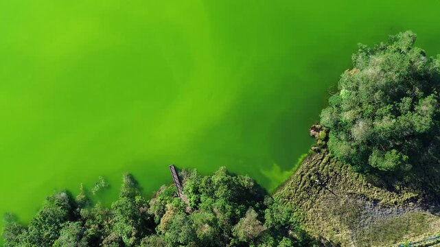 Aerial drone footage of Telaga Warna (Color Lake) on the Dieng Plateau, Central Java, Indonesia, captured during the late afternoon golden hour. 