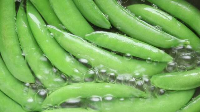 Boiling fresh sugar snap peas in hot bubbling water inside a pot. Top view shot