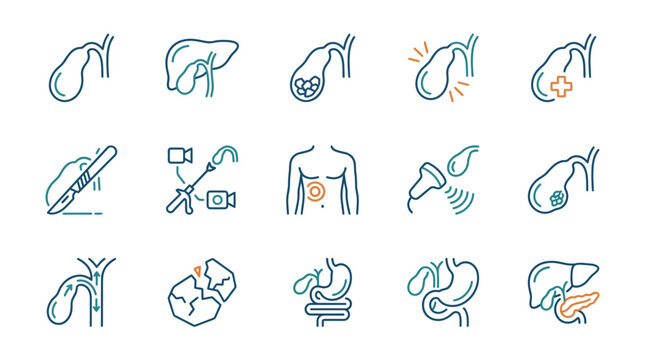 Gallbladder and Digestive System Medical Icons