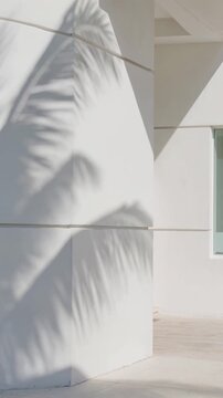 Palm leaf shadow moving on a white minimalist modern building wall in the gentle summer breeze creating a beautiful serene and abstract natural background with copy space