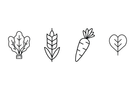 Set of healthy food icons including leafy greens, wheat, carrot, and heartshaped leaf