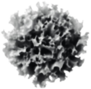 Abstract halftone dot texture, black and white circular grunge pattern. Distressed grainy circle effect with halftone gradient for modern poster, graphic design element, overlay and mask background