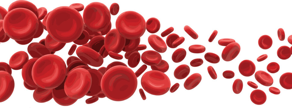 Red Blood Cells Vector Illustration with Realistic 3D Flowing Blood Cell Design for Medical and Science Content