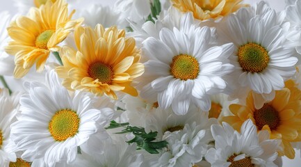 Obraz premium Bunch of white and yellow daisy flowers close up with blooming botanical colorful arrangement close-up delicate ornamental seasonal freshness composition textured