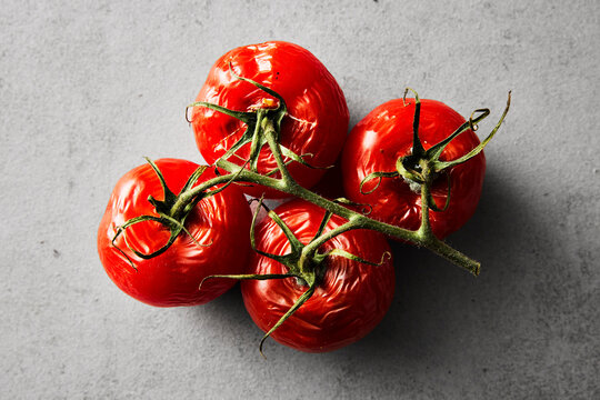 Old wrinkled red tomato on a vine over a gray concrete background