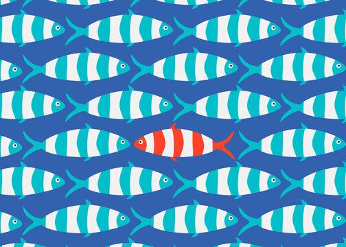 One unique red fish swimming against a school of blue fish