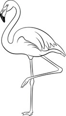 Obraz premium Flowering flamingo standing on one leg