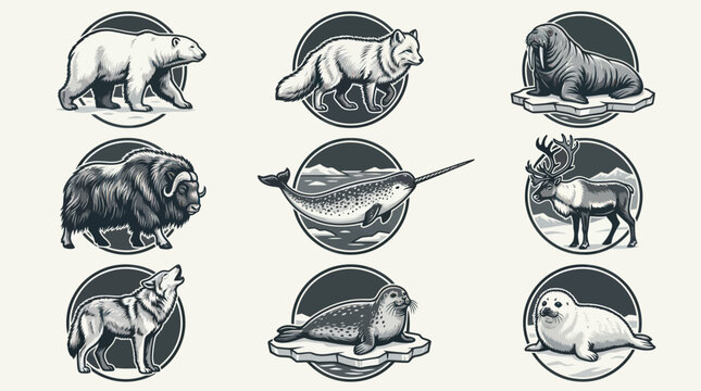 A monochrome flat vector icon set of 9 detailed arctic mammals with thick body fur, compact limbs, layered coat textures, realistic body mass, cold-environment animal silhouettes, balanced composition