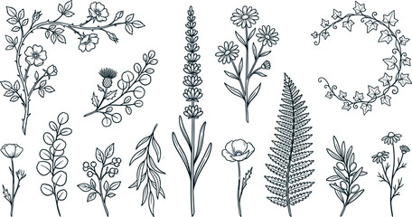 Elegant Botanical Line Art Vector Set Featuring Hand Drawn Lavender Fern Chamomile Ivy Wreath Wild Rose Olive Branch Eucalyptus and Poppy Sketch Illustrations © Md