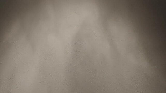 Soft light creates abstract shadows on a textured neutral wall