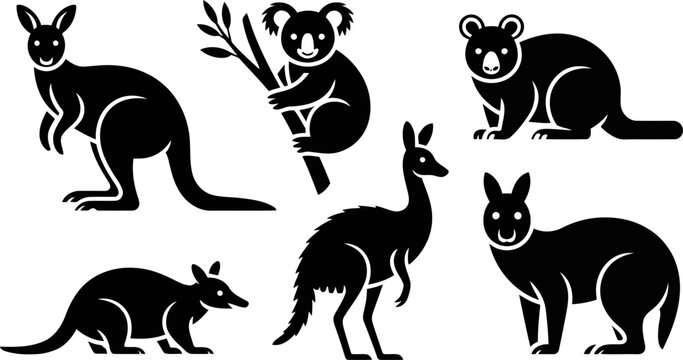 Black silhouettes of various Australian animals on white background  kangaroo koala wallaby