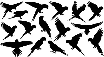 Black silhouettes of various parrots in different flying positions on white background © SAYEDAJANNATUL