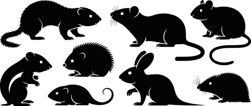 Black silhouettes of various rodents and small animals side view  set
