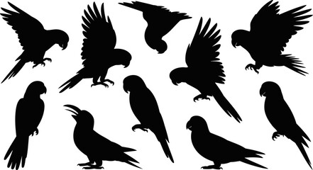 Naklejka premium Collection of parrot silhouettes in various flying and standing positions on white background
