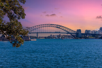 Fototapeta premium View of Sydney Harbour Bridge and Opera House viewed from Botanical Gardens on the harbour foreshore in Sydney NSW Australia