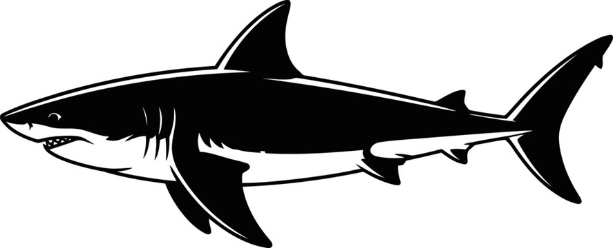 Illustration of a shark swimming in profile view  marine life