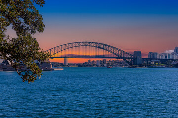Fototapeta premium View of Sydney Harbour Bridge and Opera House viewed from Botanical Gardens on the harbour foreshore in Sydney NSW Australia