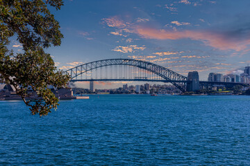 Fototapeta premium View of Sydney Harbour Bridge and Opera House viewed from Botanical Gardens on the harbour foreshore in Sydney NSW Australia