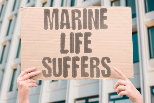 "Marine life suffers" Sea creatures struggle in warming waters. CREATURES. STRUGGLE. WARMING. WATERS. THREAT.
