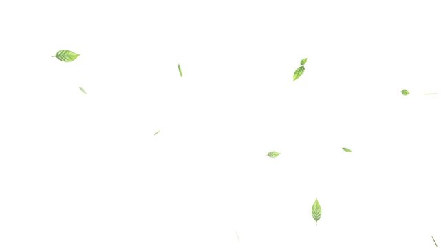 Flying Green leaves over black background. Element Overlay, Realistic green leaf fall animation, falling green leaves on black background.
Falling Leaves Storm &ndash; Whirlwind of Autumn Foliage Loop