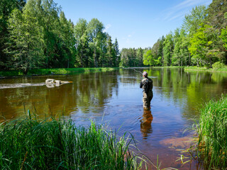 Swedish river and natural salmon area in summer. Farnebofjarden national park in north of Sweden © Conny Sjostrom