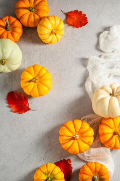 Autumn pumpkins with red leaves on gray background, top view with copy space